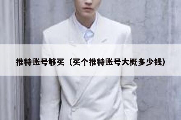 推特账号够买（买个推特账号大概多少钱） 第1张