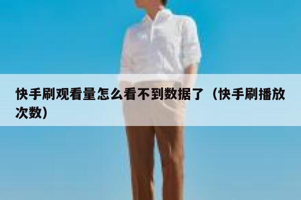 快手刷观看量怎么看不到数据了（快手刷播放次数） 第1张