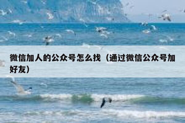 微信加人的公众号怎么找（通过微信公众号加好友） 第1张