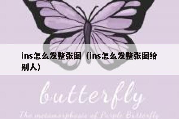 ins怎么发整张图（ins怎么发整张图给别人） 第1张