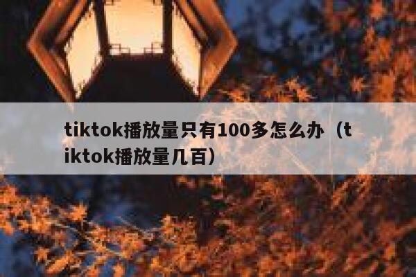 tiktok播放量只有100多怎么办（tiktok播放量几百） 第1张