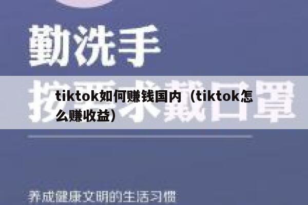 tiktok如何赚钱国内（tiktok怎么赚收益） 第1张