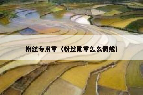 粉丝专用章（粉丝勋章怎么佩戴） 第1张