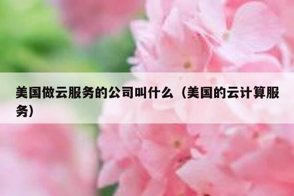 美国做云服务的公司叫什么（美国的云计算服务） 第1张