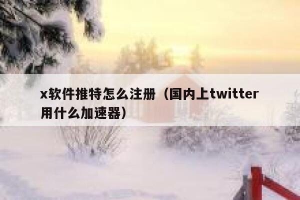 x软件推特怎么注册（国内上twitter用什么加速器） 第1张