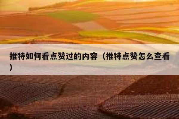 推特如何看点赞过的内容（推特点赞怎么查看） 第1张