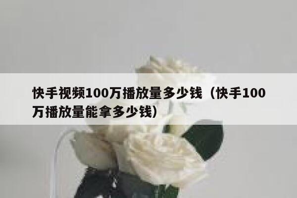 快手视频100万播放量多少钱（快手100万播放量能拿多少钱） 第1张