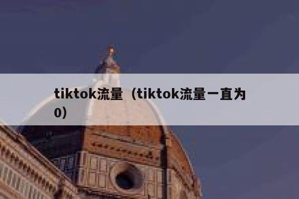 tiktok流量（tiktok流量一直为0） 第1张