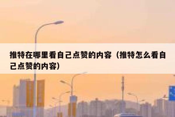 推特在哪里看自己点赞的内容（推特怎么看自己点赞的内容） 第1张