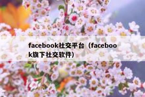 facebook社交平台（facebook旗下社交软件） 第1张