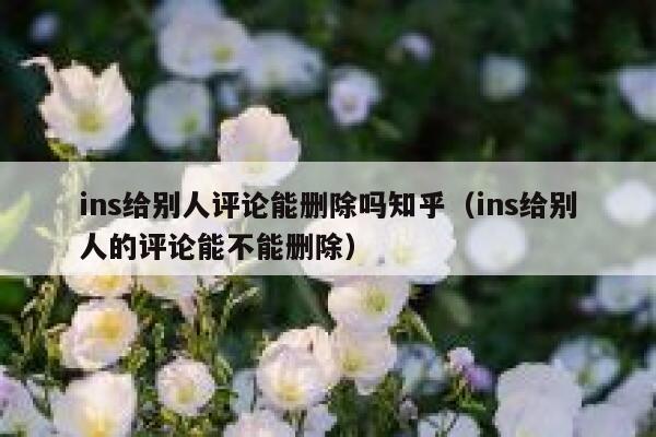 ins给别人评论能删除吗知乎（ins给别人的评论能不能删除） 第1张