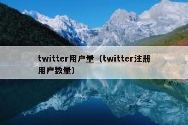 twitter用户量（twitter注册用户数量） 第1张