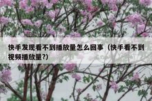 快手发现看不到播放量怎么回事（快手看不到视频播放量?） 第1张
