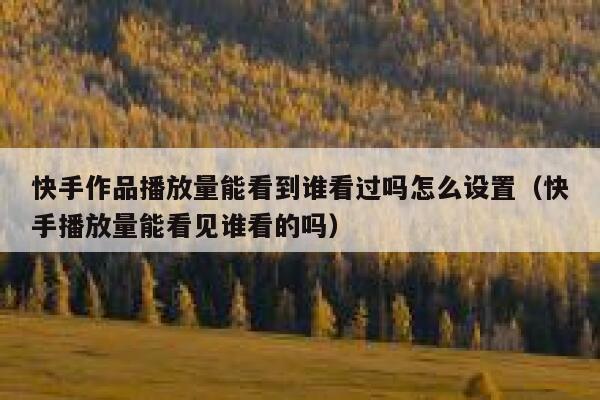 快手作品播放量能看到谁看过吗怎么设置（快手播放量能看见谁看的吗） 第1张