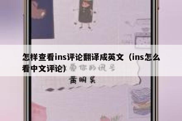 怎样查看ins评论翻译成英文（ins怎么看中文评论） 第1张