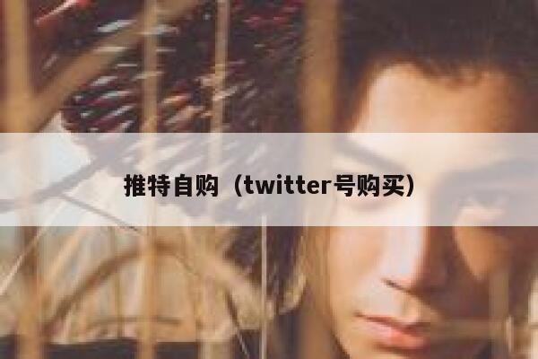 推特自购（twitter号购买） 第1张