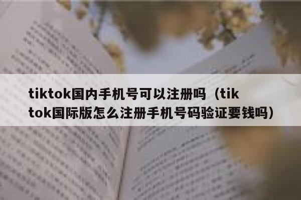 tiktok国内手机号可以注册吗（tiktok国际版怎么注册手机号码验证要钱吗） 第1张