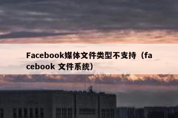 Facebook媒体文件类型不支持（facebook 文件系统） 第1张