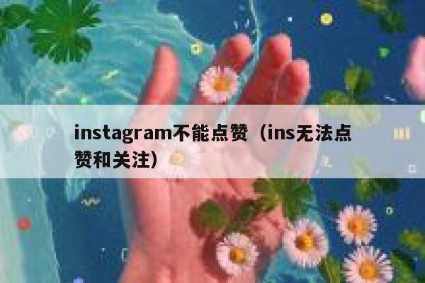 instagram不能点赞（ins无法点赞和关注） 第1张