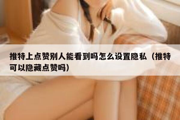 推特上点赞别人能看到吗怎么设置隐私（推特可以隐藏点赞吗） 第1张