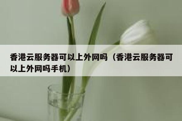 香港云服务器可以上外网吗（香港云服务器可以上外网吗手机） 第1张