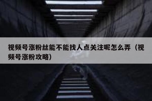 视频号涨粉丝能不能找人点关注呢怎么弄（视频号涨粉攻略） 第1张