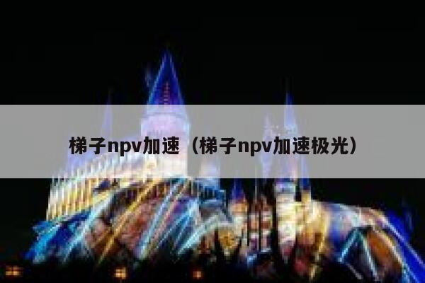 梯子npv加速（梯子npv加速极光） 第1张