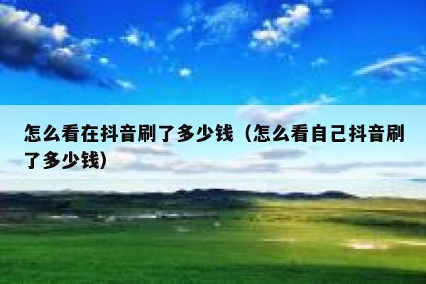 怎么看在抖音刷了多少钱（怎么看自己抖音刷了多少钱） 第1张