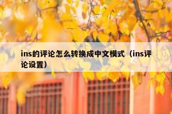 ins的评论怎么转换成中文模式（ins评论设置） 第1张