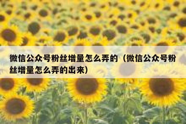 微信公众号粉丝增量怎么弄的（微信公众号粉丝增量怎么弄的出来） 第1张
