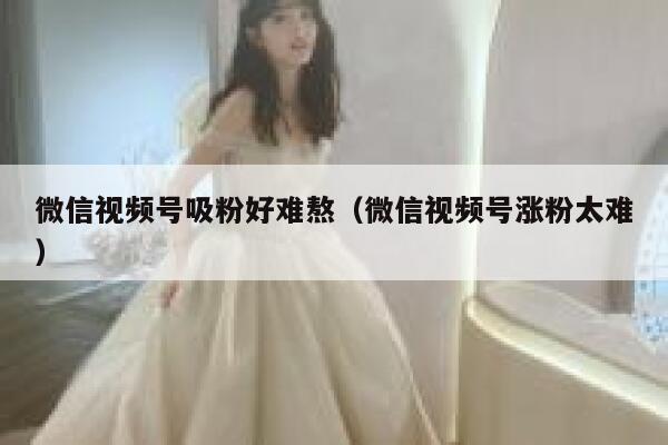 微信视频号吸粉好难熬（微信视频号涨粉太难） 第1张