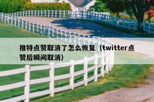 推特点赞取消了怎么恢复（twitter点赞后瞬间取消） 第1张