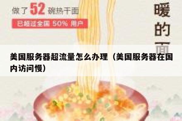 美国服务器超流量怎么办理（美国服务器在国内访问慢） 第1张