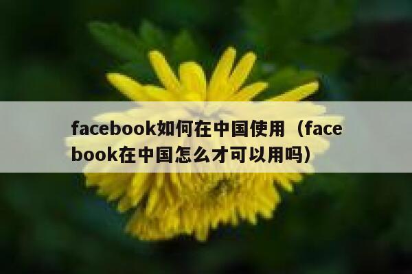 facebook如何在中国使用（facebook在中国怎么才可以用吗） 第1张