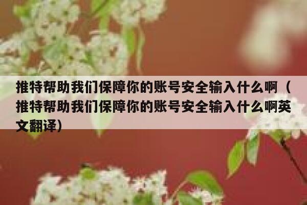 推特帮助我们保障你的账号安全输入什么啊（推特帮助我们保障你的账号安全输入什么啊英文翻译） 第1张