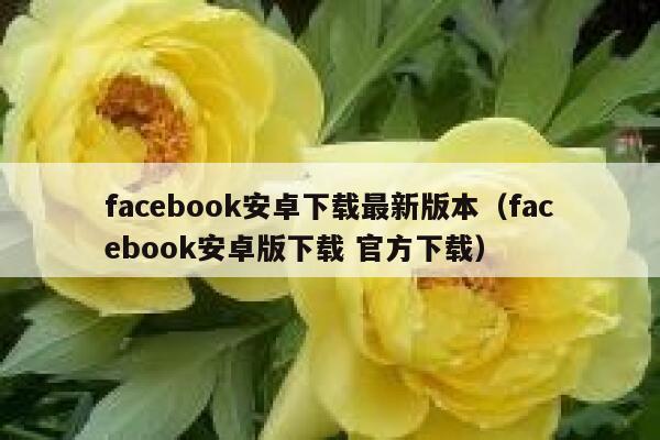 facebook安卓下载最新版本（facebook安卓版下载 官方下载） 第1张