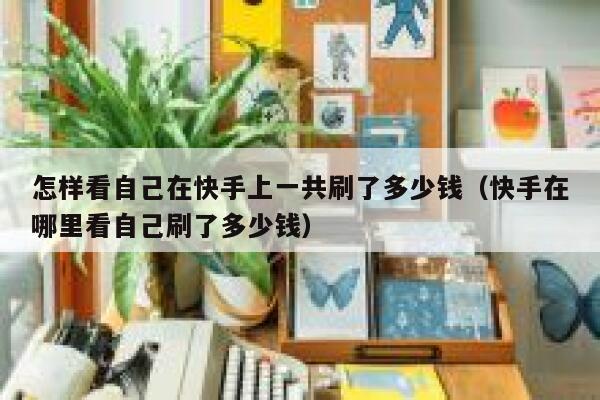 怎样看自己在快手上一共刷了多少钱（快手在哪里看自己刷了多少钱） 第1张