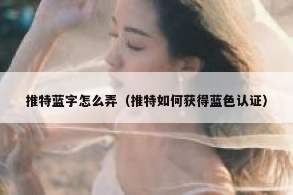 推特蓝字怎么弄（推特如何获得蓝色认证） 第1张