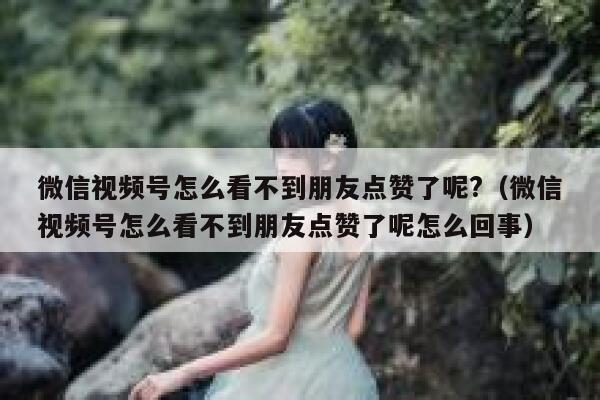 微信视频号怎么看不到朋友点赞了呢?（微信视频号怎么看不到朋友点赞了呢怎么回事） 第1张