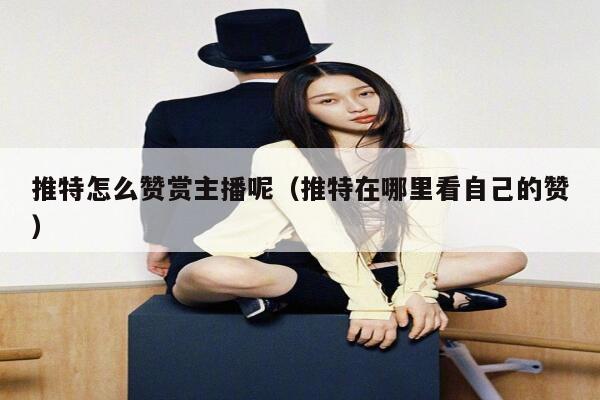 推特怎么赞赏主播呢（推特在哪里看自己的赞） 第1张