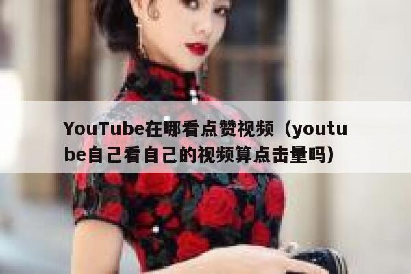 YouTube在哪看点赞视频（youtube自己看自己的视频算点击量吗） 第1张
