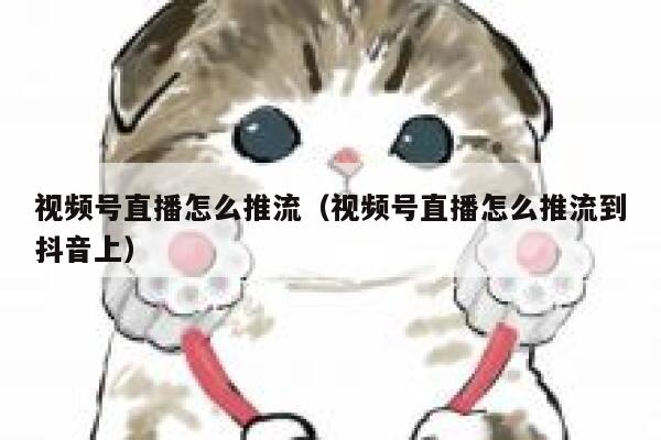 视频号直播怎么推流（视频号直播怎么推流到抖音上） 第1张
