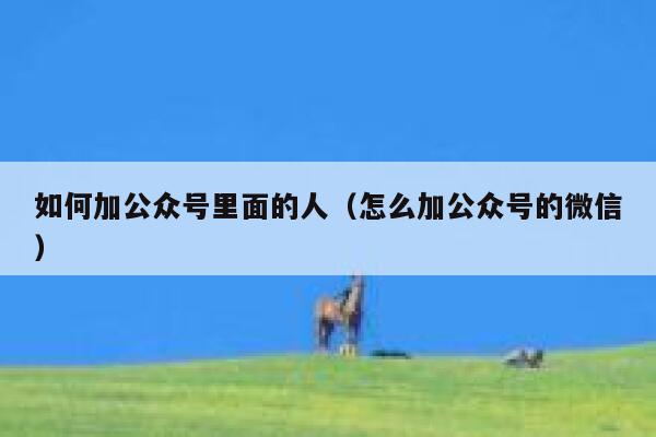 如何加公众号里面的人（怎么加公众号的微信） 第1张