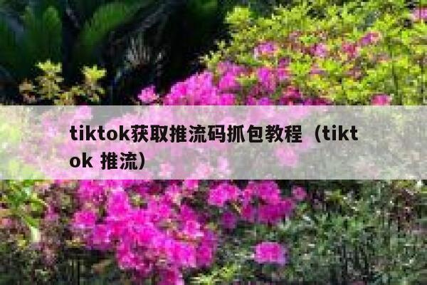 tiktok获取推流码抓包教程（tiktok 推流） 第1张