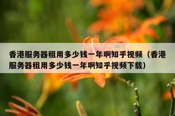 香港服务器租用多少钱一年啊知乎视频（香港服务器租用多少钱一年啊知乎视频下载） 第1张