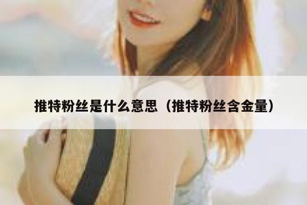 推特粉丝是什么意思（推特粉丝含金量） 第1张