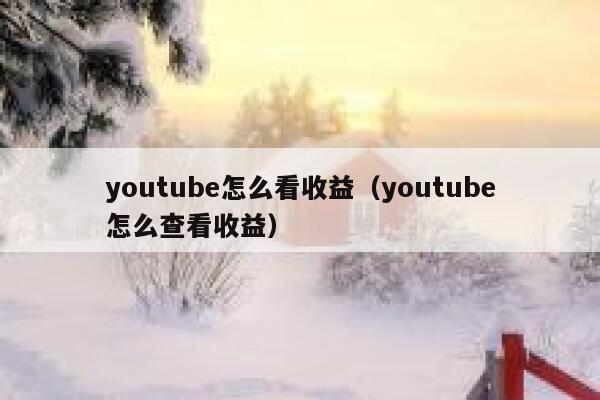 youtube怎么看收益（youtube怎么查看收益） 第1张