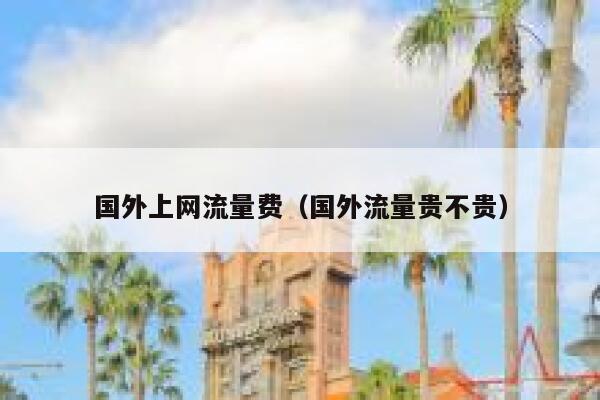 国外上网流量费（国外流量贵不贵） 第1张