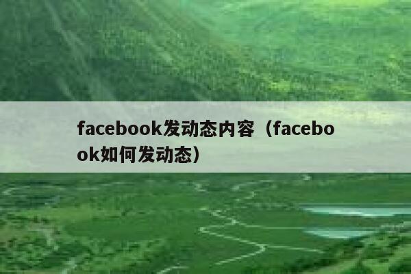 facebook发动态内容（facebook如何发动态） 第1张