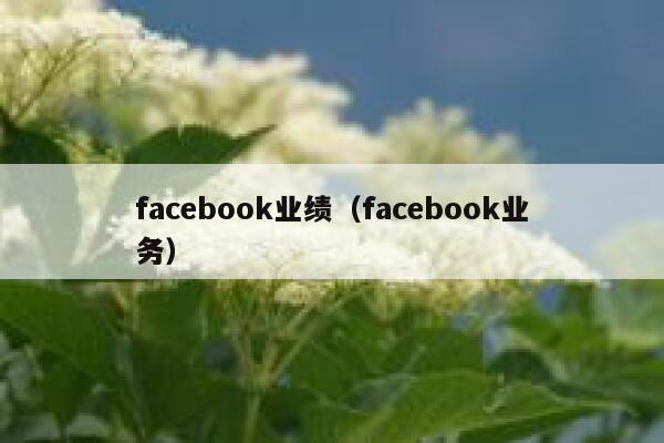 facebook业绩（facebook业务） 第1张